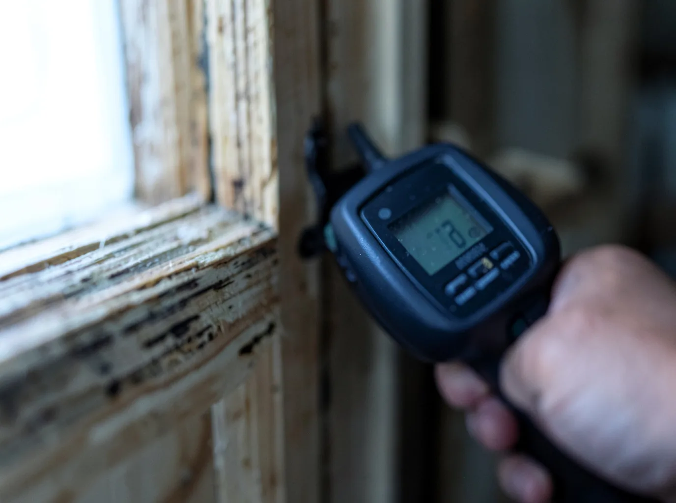 Commercial Water Damage Restoration in Genesee, ID